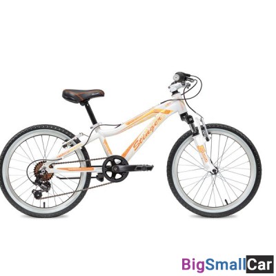 Дорожный велосипед STINGER 20AHV.FIONA.10WH8 - купить Абинске