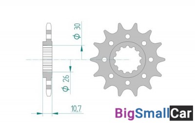 Звезда ведущая AFAM 21804-17 (JTF1579.17)  520 - купить Абинске