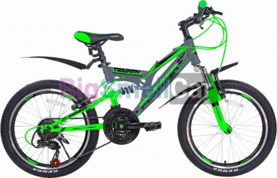 Дорожные велосипеды PIONEER TRIUMPH 20/13 gray-green-black - купить Абинске